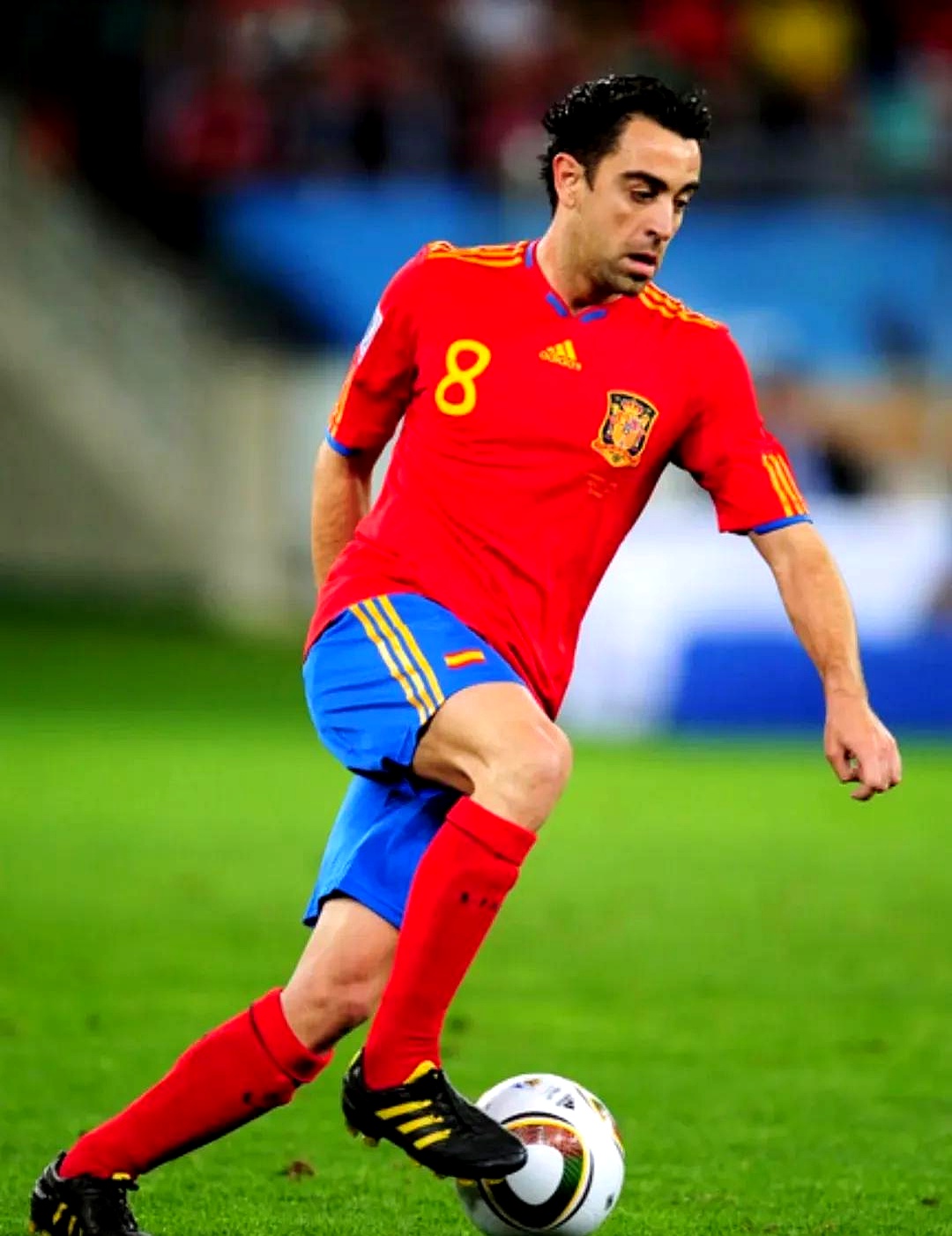 包含西班牙主教练卢比奥我们将全力争取欧洲杯冠军的词条 包含西班牙主教练卢比奥我们将全力争取欧洲杯冠军的词条